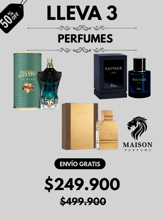 3 PERFUMES + OBSEQUIO (Le beau Le Parfum - Sauvage Dior Elixir - Al Haramain + Perfumero)